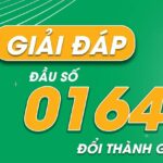 Đầu số 0164 đổi thành gì? Đổi SIM 0164 sang số mới cực phong thủy