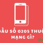 Đầu số 0205 thuộc mạng gì? Có phải cuộc gọi lừa đảo?