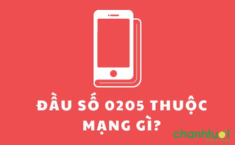 0205 là mạng gì