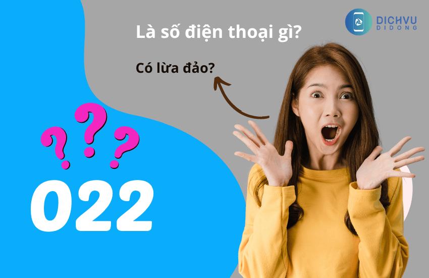 022 là mạng gì