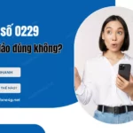 Đầu số 0229 của mạng nào? Cách nhận biết 0229 gọi lừa đảo?