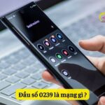 0239 là mạng gì? Phát hiện đầu số 0239 lừa đảo nên làm gì?