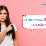 0246 là số điện thoại ở đâu? Đầu số 0246 lừa đảo đúng không?