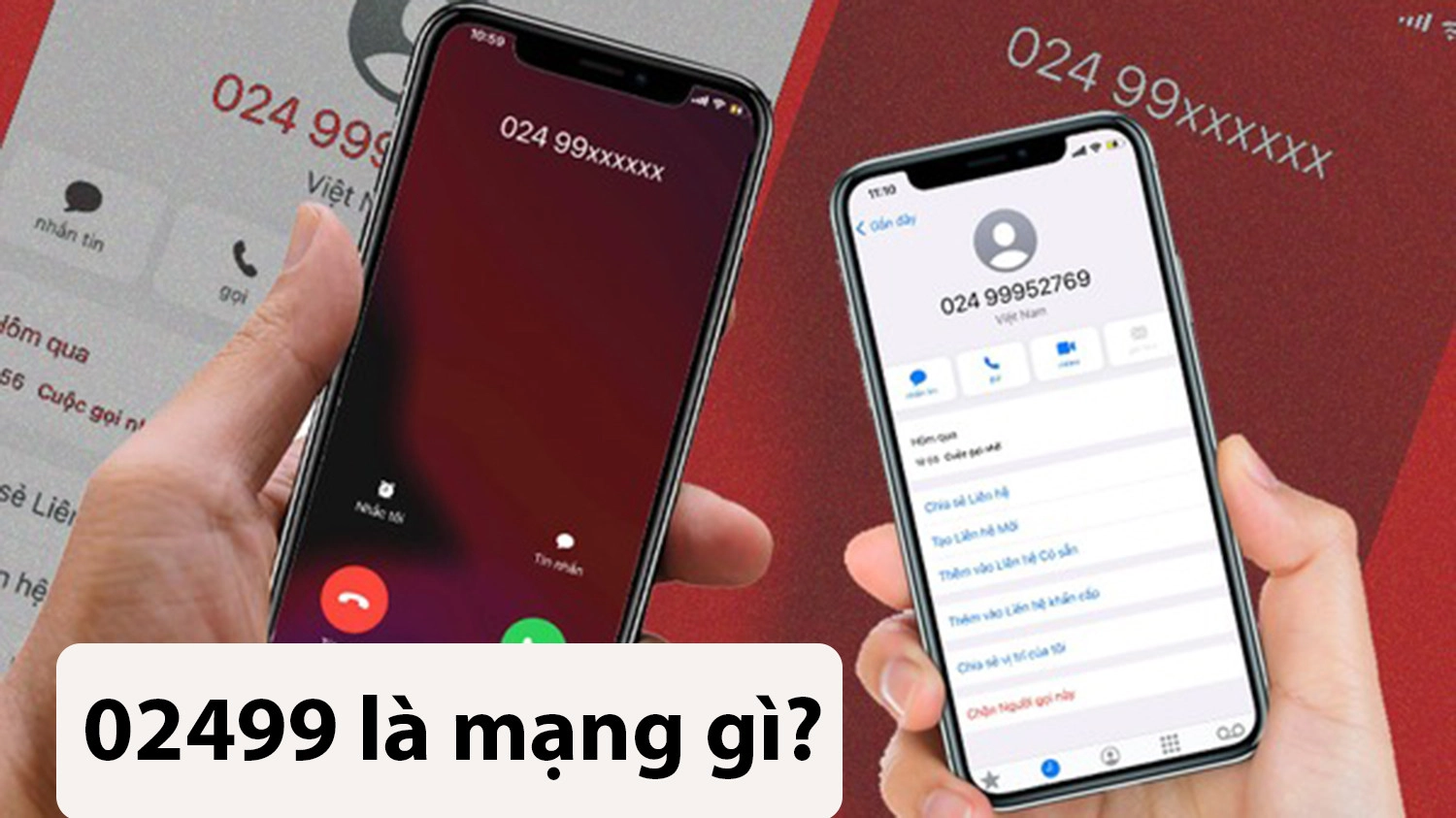 02499 là mạng gì