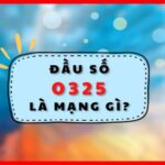 0325 là mạng gì? Đầu số 0325 thuộc nhà mạng nào? Được đổi từ đầu số nào