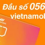 0567 là mạng gì? Ý nghĩa của đầu số 0567?