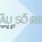 058 là mạng gì? Ý nghĩa của đầu số 058 và cách đặt mua