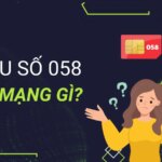 Đầu 058 là mạng gì? Ý nghĩa đầu số điện thoại 058 theo phong thủy?