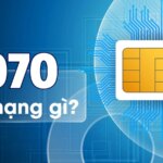 070 là mạng gì? Ý nghĩa và gói cước dành cho thuê bao 070