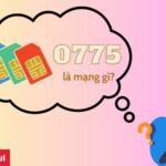 Đầu số 0775 là mạng gì? Ý nghĩa phong thủy và cách mua chính chủ