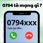 Đầu số 0794 là mạng gì? Những điều cần biết về số 0794