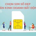 Làm thế nào để chọn sim số đẹp dành cho người kinh doanh bất động sản?