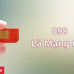 Đầu số 098 là mạng gì? Ý nghĩa đầu số 098 trong số học