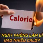 Một ngày không làm gì tốn bao nhiêu calo?