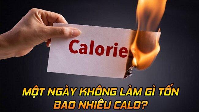 1 ngày không làm gì tốn bao nhiêu calo