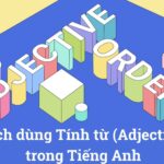 Tính từ (Adjective) là gì? Cách sử dụng tính từ đúng trong Tiếng Anh