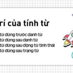 Tính từ trong Tiếng Anh (Adjectives): Khái niệm và cách dùng tính từ