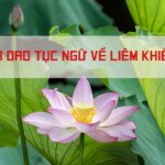 50 câu ca dao, tục ngữ, thành ngữ về liêm khiết, thanh liêm hay nhất