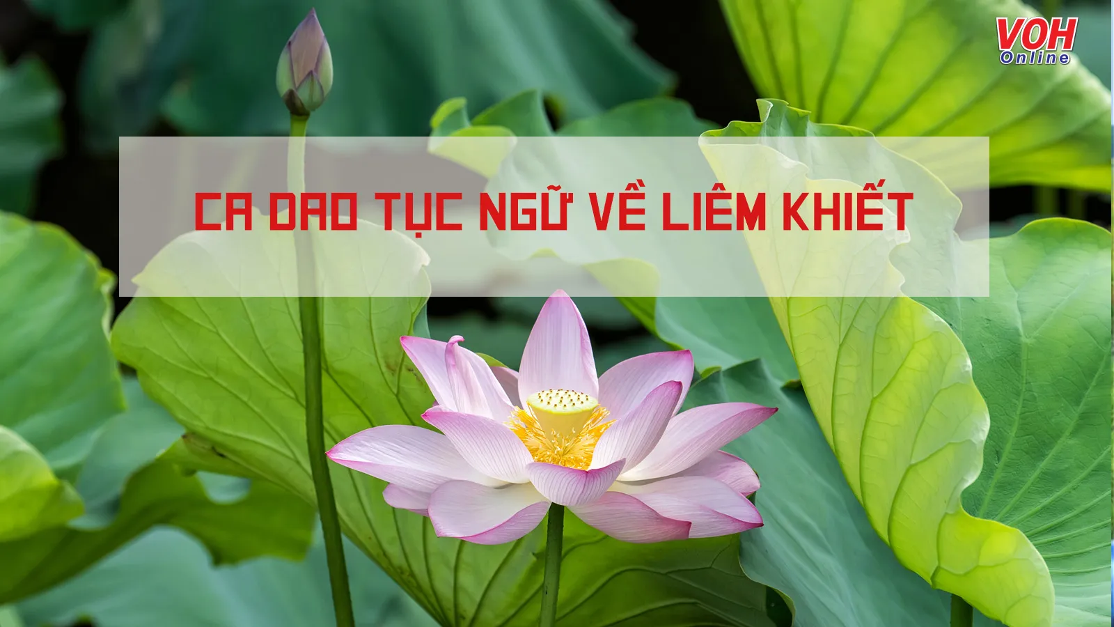 ca dao tục ngữ về liêm khiết