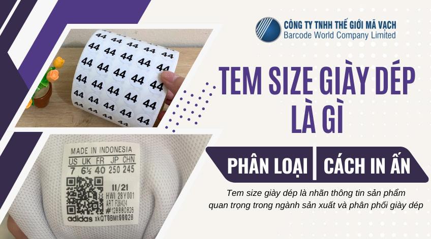 các loại size giày