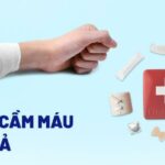 3 cách cầm máu nhanh chóng tại nhà hiệu quả kịp thời