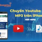 15 cách chuyển Youtube sang MP3 trên iPhone, Android nhanh chóng