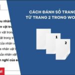 Cách đánh số trang trong word 2007, 2010, 2016 chỉ trong 3s