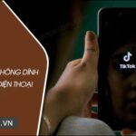 Cách tải ảnh TikTok không dính logo cho Android, iPhone