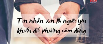 55 tin nhắn xin lỗi người yêu hay ngọt ngào và lãng mạn nhất