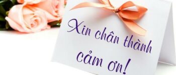 Những lời cảm ơn sinh nhật cực hay và ý nghĩa