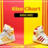 Cách đo size giày Adidas chi tiết, đúng chuẩn