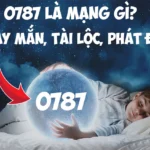 0787 là mạng gì? Bí mật bất ngờ về đầu số 0787 không phải ai cũng biết