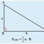 Công Thức Tính Diện Tích Tam Giác Vuông, Đều, Tam Giác Cân