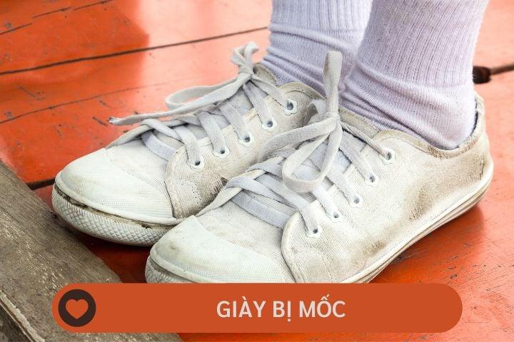 giày bị mốc phải làm sao