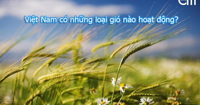 gió mùa hoạt động ở nước ta gồm