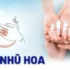 Phun xăm nhũ hoa (núm vú và quầng vú): Chỉ định và chăm sóc