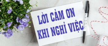 40 lời cảm ơn sếp và đồng nghiệp trước khi nghỉ việc chia tay hay nhất