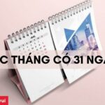 Các tháng có 31 ngày trong năm là tháng nào?