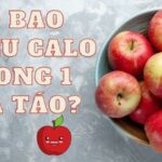 Có bao nhiêu calo trong một quả táo?