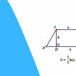 Cách tính diện tích hình thang & hình thang vuông, bài tập thực hành minh họa chi tiết