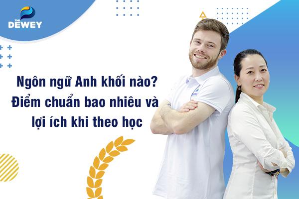 ngôn ngữ anh thi khối nào