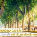 Tín phong Bán cầu Bắc và tác động đến thời tiết, khí hậu Việt Nam