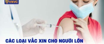 11 loại vắc xin cho người lớn cần tiêm để bảo vệ sức khỏe bản thân