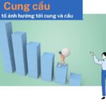 Cung cầu là gì? Các yếu tố ảnh hưởng tới cung và cầu