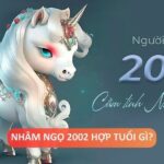 Tuổi Nhâm Ngọ 2002 mệnh gì? hợp với những tuổi nào?