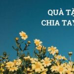 Top Quà tặng chia tay Sếp ý nghĩa và thiết thực