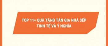 Top 11+ Quà Tặng Tân Gia Nhà Sếp Tinh Tế và Ý Nghĩa