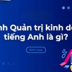 Quản trị kinh doanh Tiếng Anh là gì? Tầm quan trọng của Tiếng Anh trong ngành