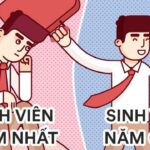 Sinh viên năm 2 tiếng anh là gì? Cơ hội cho sinh viên giỏi tiếng anh