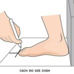 Bảng size giày Hàn Quốc dành cho người Việt Nam chuẩn nhất